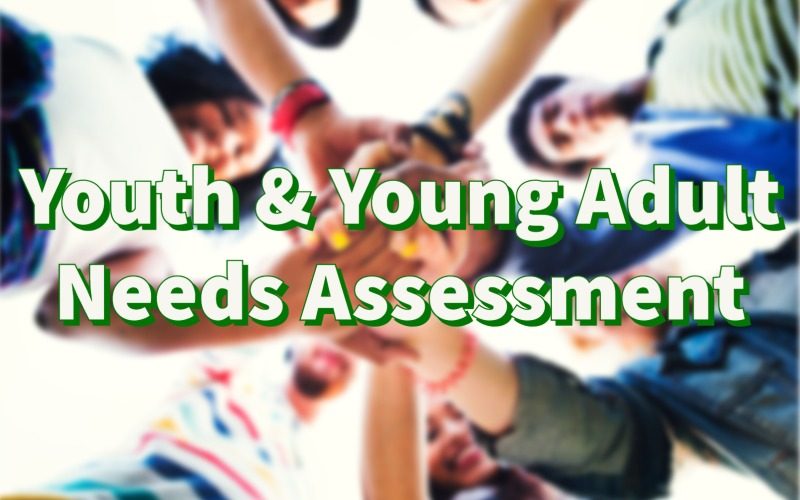 Youth and Young Adult Needs Assessment